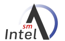 smintel